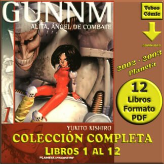 GUNNM - ALITA, ÁNGEL DE COMBATE - 2002 - Manga – Colección Completa – 12 Libros En Formato PDF - Descarga Inmediata
